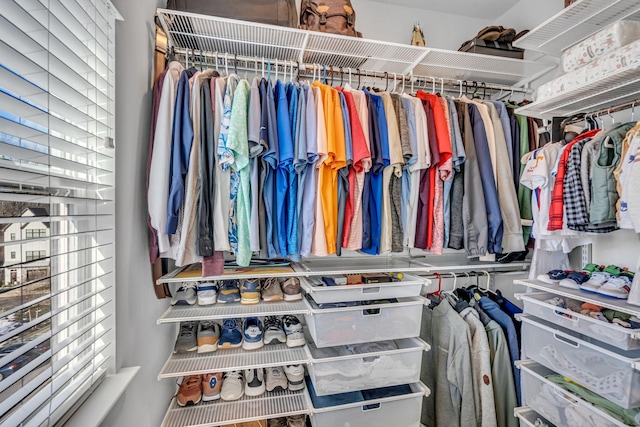 view of spacious closet