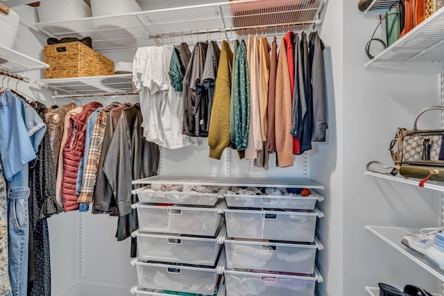 view of walk in closet