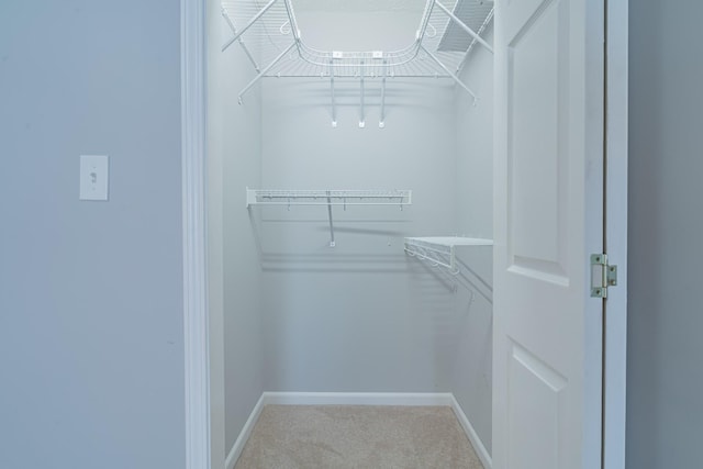 spacious closet featuring carpet flooring