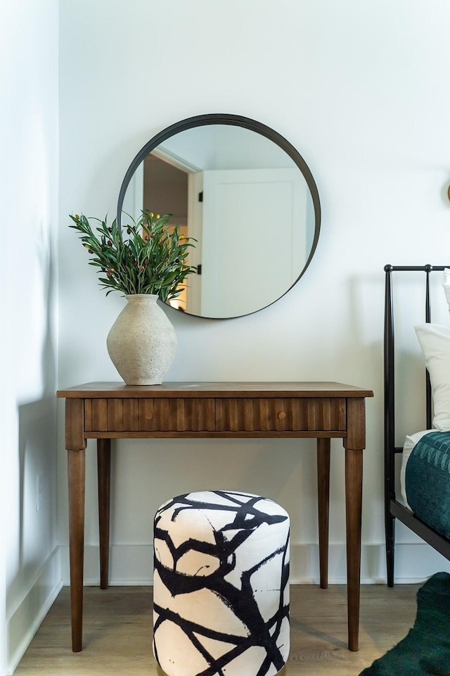 room details with hardwood / wood-style flooring