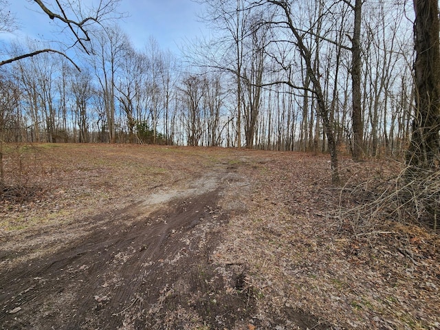 0 Adamson Branch Rd, Liberty TN, 37095 land for sale