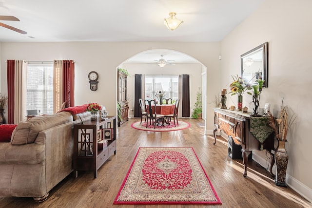 living room featuring ceiling fan and hardwood / wood-style flooring