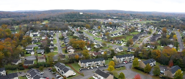 bird's eye view