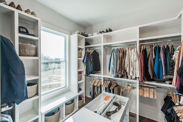 view of walk in closet