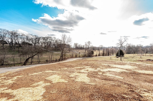 view of yard with a rural view