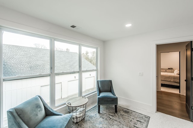 sitting room featuring carpet floors and a wealth of natural light