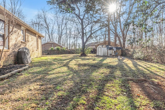 view of yard with a shed