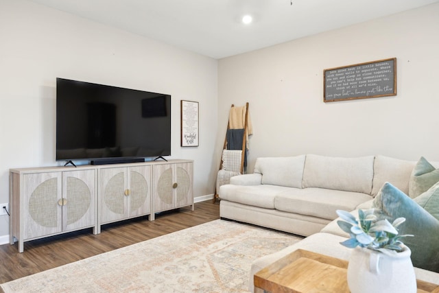 living room featuring wood-type flooring