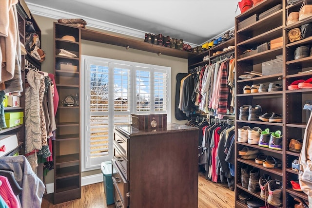 spacious closet featuring light wood-type flooring