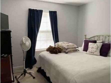 bedroom featuring multiple windows and carpet