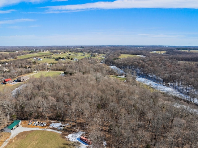 bird's eye view