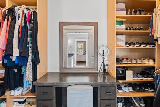 view of spacious closet