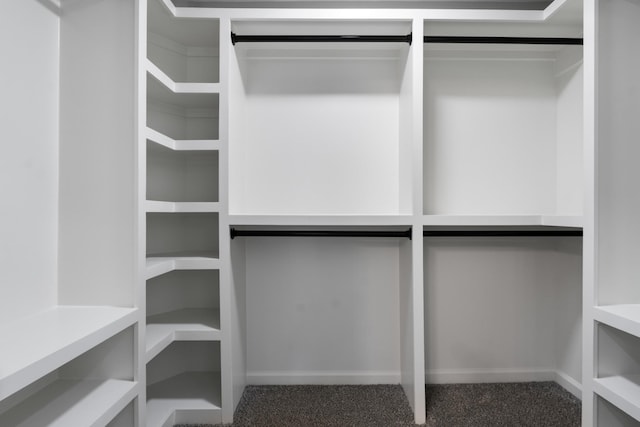 spacious closet featuring carpet flooring