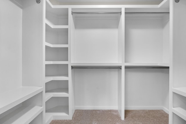 walk in closet featuring light carpet