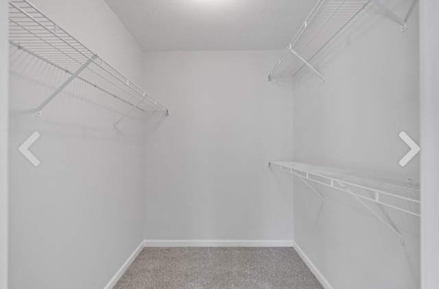 walk in closet featuring carpet