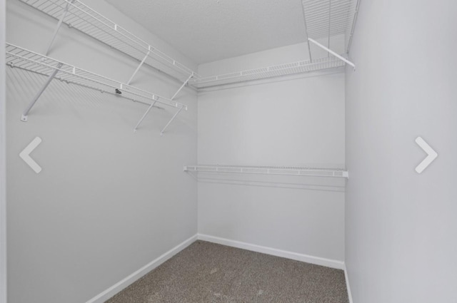 spacious closet with carpet flooring