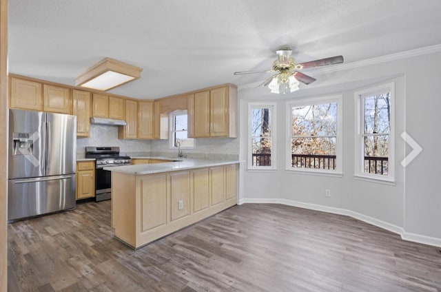 kitchen with stainless steel appliances, dark hardwood / wood-style floors, light brown cabinetry, and kitchen peninsula