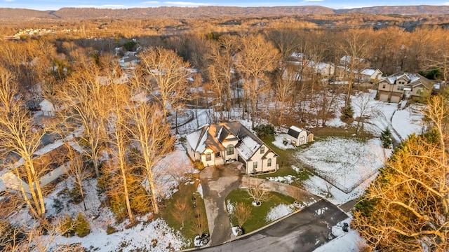 snowy aerial view with a mountain view