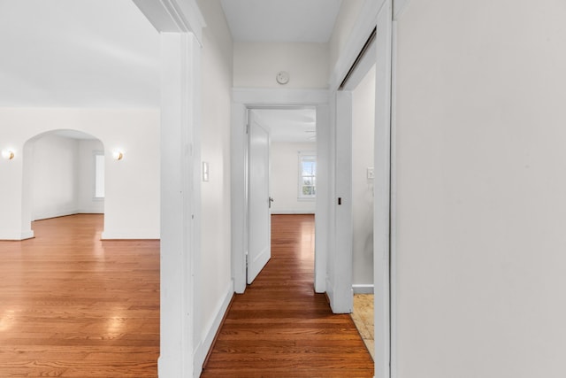 hallway featuring dark hardwood / wood-style flooring