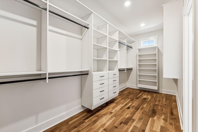 spacious closet featuring dark hardwood / wood-style floors