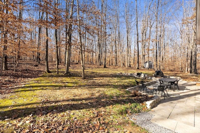 view of yard with a patio