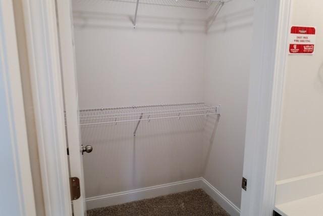 spacious closet featuring carpet floors