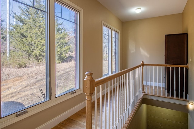 stairs featuring hardwood / wood-style flooring