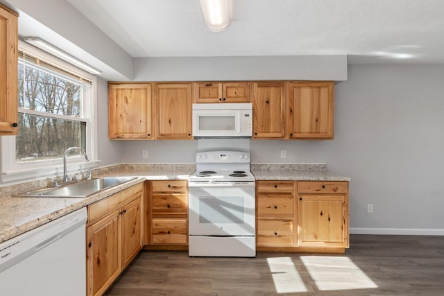 kitchen with sink, white appliances, and dark hardwood / wood-style floors