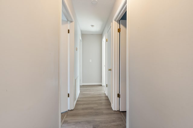 hall featuring light hardwood / wood-style floors