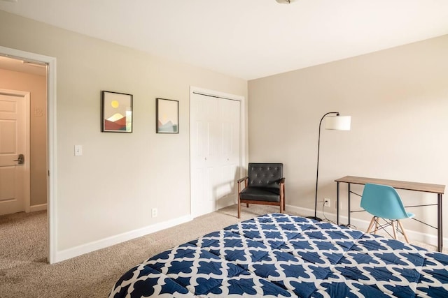 sitting room featuring carpet flooring