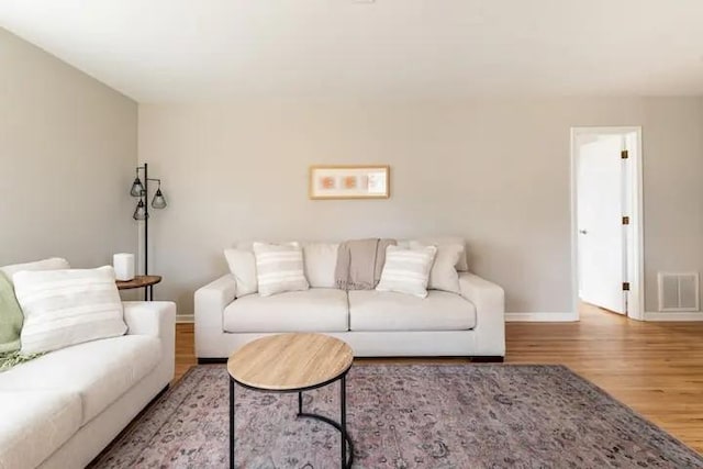 living room with wood-type flooring