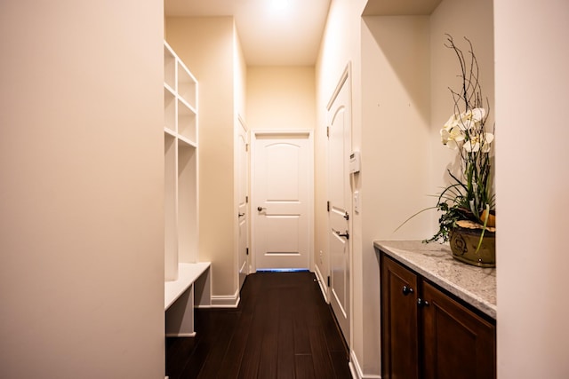 mudroom featuring dark hardwood / wood-style flooring