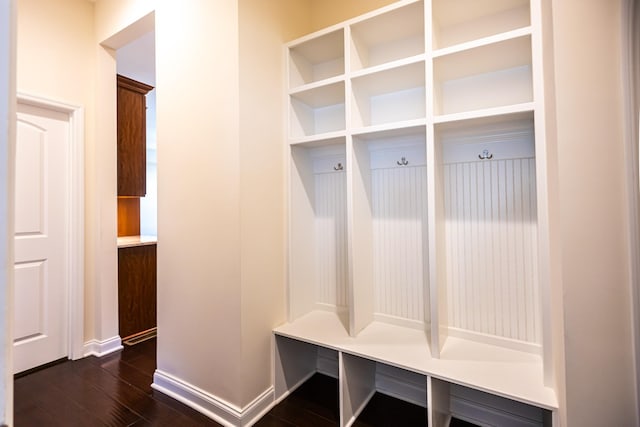 mudroom with dark wood-type flooring