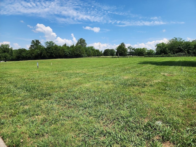 813 Stonebrook Dr, Lebanon TN, 37087 land for sale