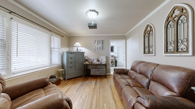 living room featuring crown molding and light hardwood / wood-style flooring