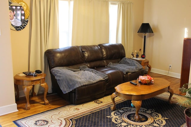 living room with hardwood / wood-style flooring