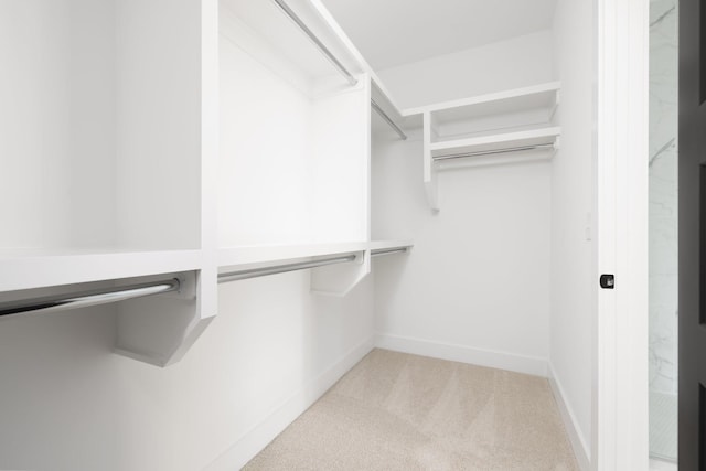 walk in closet featuring light carpet