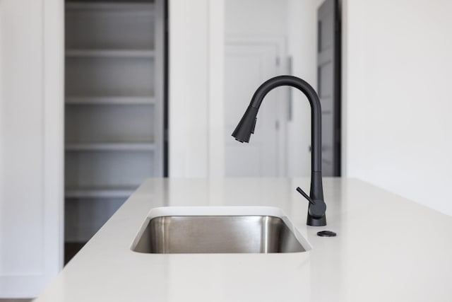 interior details featuring sink