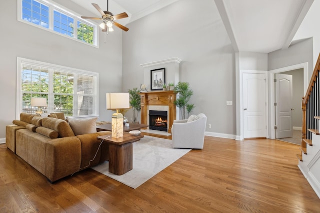 living room with ceiling fan and wood-type flooring