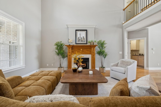 living room featuring a towering ceiling and light hardwood / wood-style floors