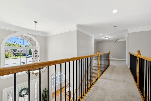 corridor featuring a notable chandelier, carpet floors, and ornamental molding