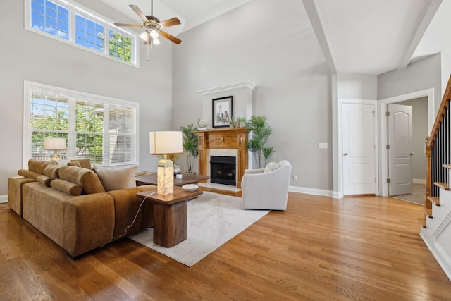 living room with ceiling fan and hardwood / wood-style floors