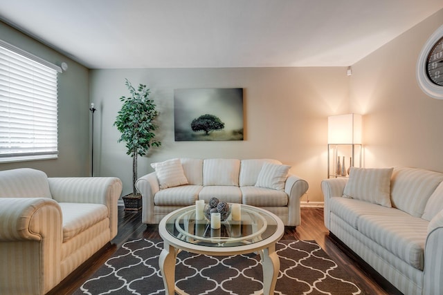 living room featuring dark wood-type flooring