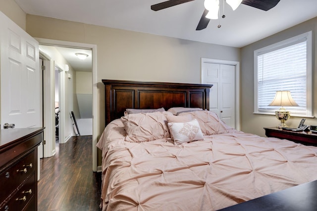 bedroom with ceiling fan, a closet, and dark hardwood / wood-style floors