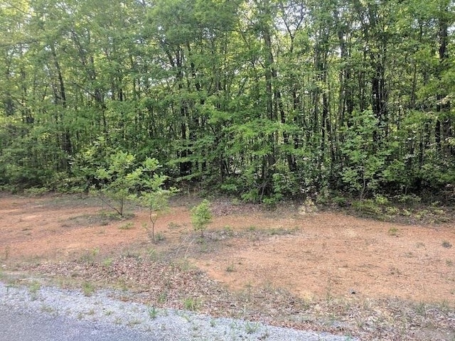 Listing photo 3 for 0 Deer Run Rd, Altamont TN 37301