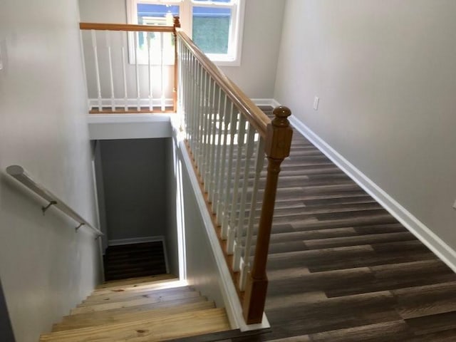 staircase featuring wood-type flooring