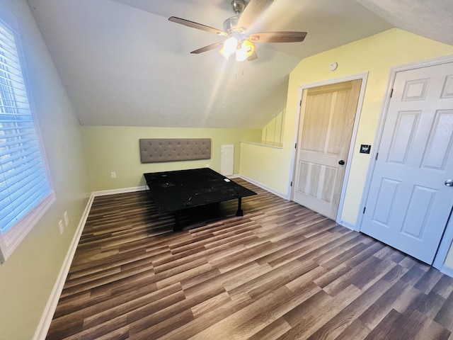 306 Turkey Creek Hwy, Carthage, TN 37030 - additional living space featuring lofted ceiling, hardwood / wood-style flooring, and ceiling fan