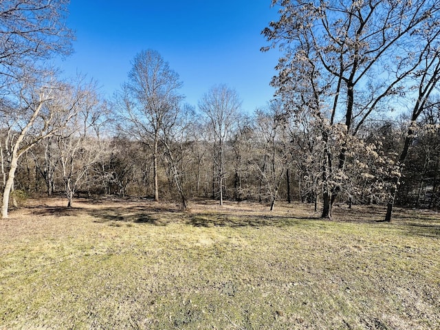 306 Turkey Creek Hwy, Carthage, TN 37030 - view of yard