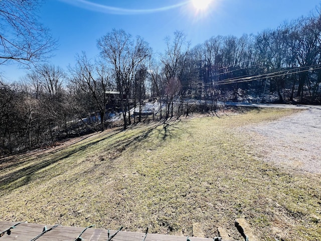 306 Turkey Creek Hwy, Carthage, TN 37030 - view of yard