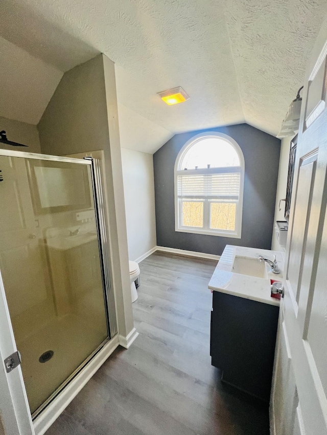 306 Turkey Creek Hwy, Carthage, TN 37030 - bathroom featuring vaulted ceiling, vanity, an enclosed shower, toilet, and a textured ceiling